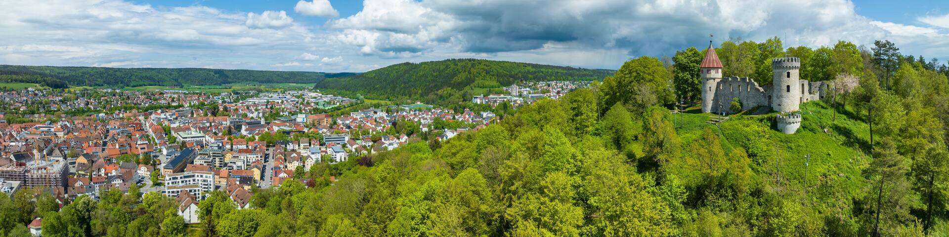 A town with a castle on a hill, surrounded by greenery and a clear sky.