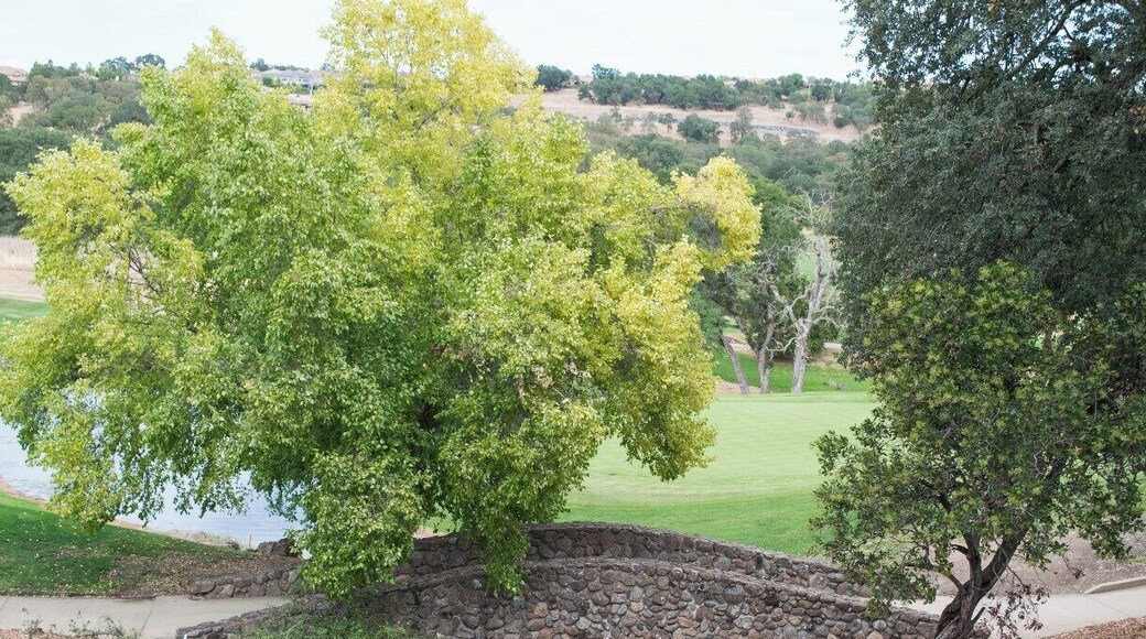 Cool place for a wedding. When entering Catta Verdera, the address shows up correctly as Lincoln but changes to Virginiatown when saved.