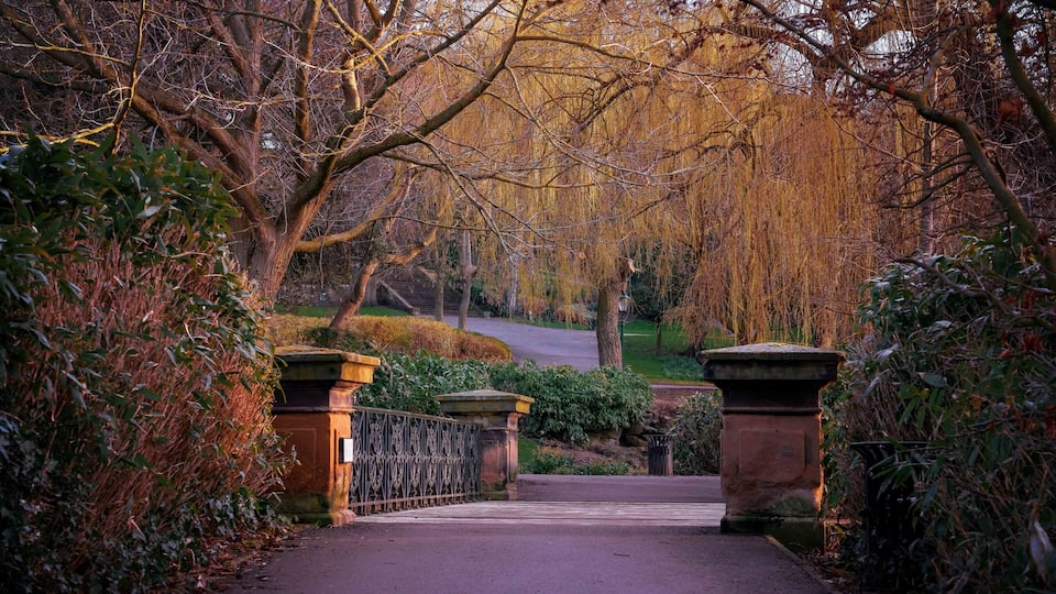 Evening view of the park in The Arboretum Lincoln