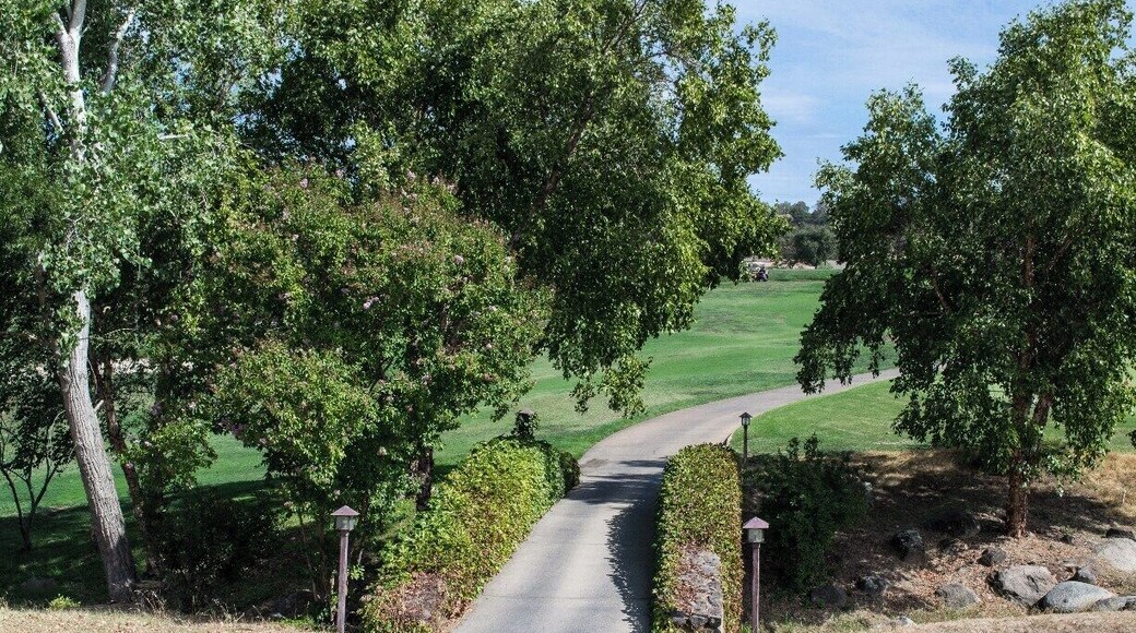 Cool place for a wedding. When entering Catta Verdera, the address shows up correctly as Lincoln but changes to Virginiatown when saved.