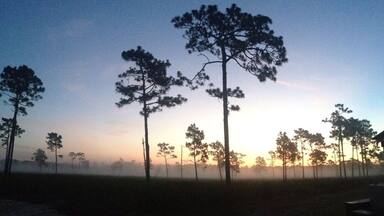Located south of Kissimmee FL, the area is being brought back to its natural state, there is a couple of walking trails and scientific studies are also done here.