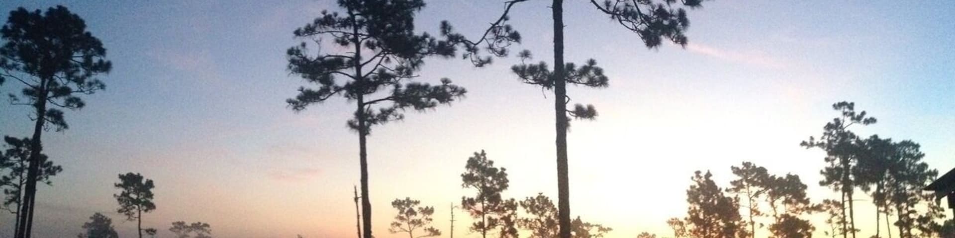 Located south of Kissimmee FL, the area is being brought back to its natural state, there is a couple of walking trails and scientific studies are also done here.