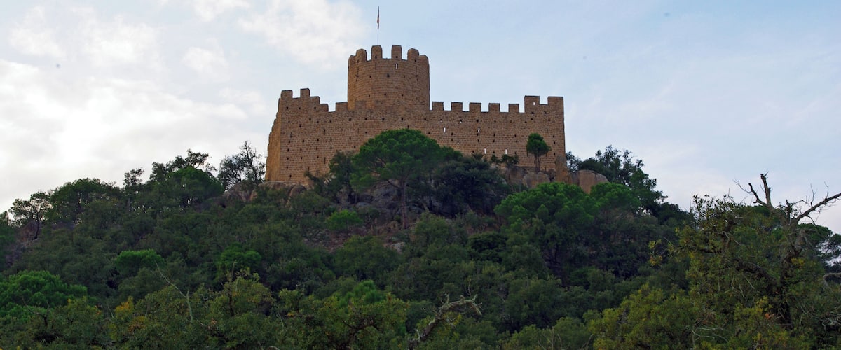 A medieval castle atop a hill, surrounded by dense forest.
