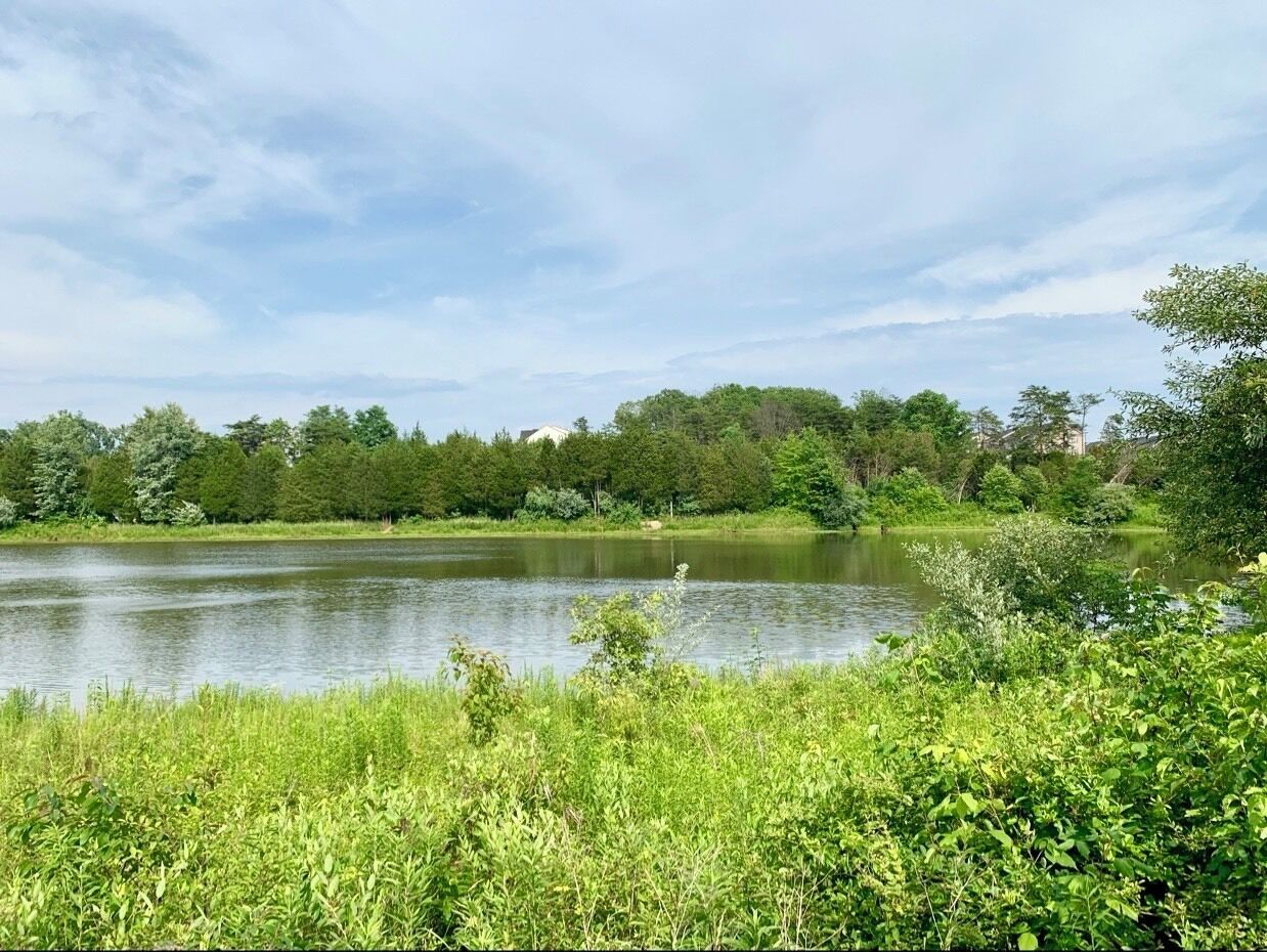 Hiking around Gainesville , Va..