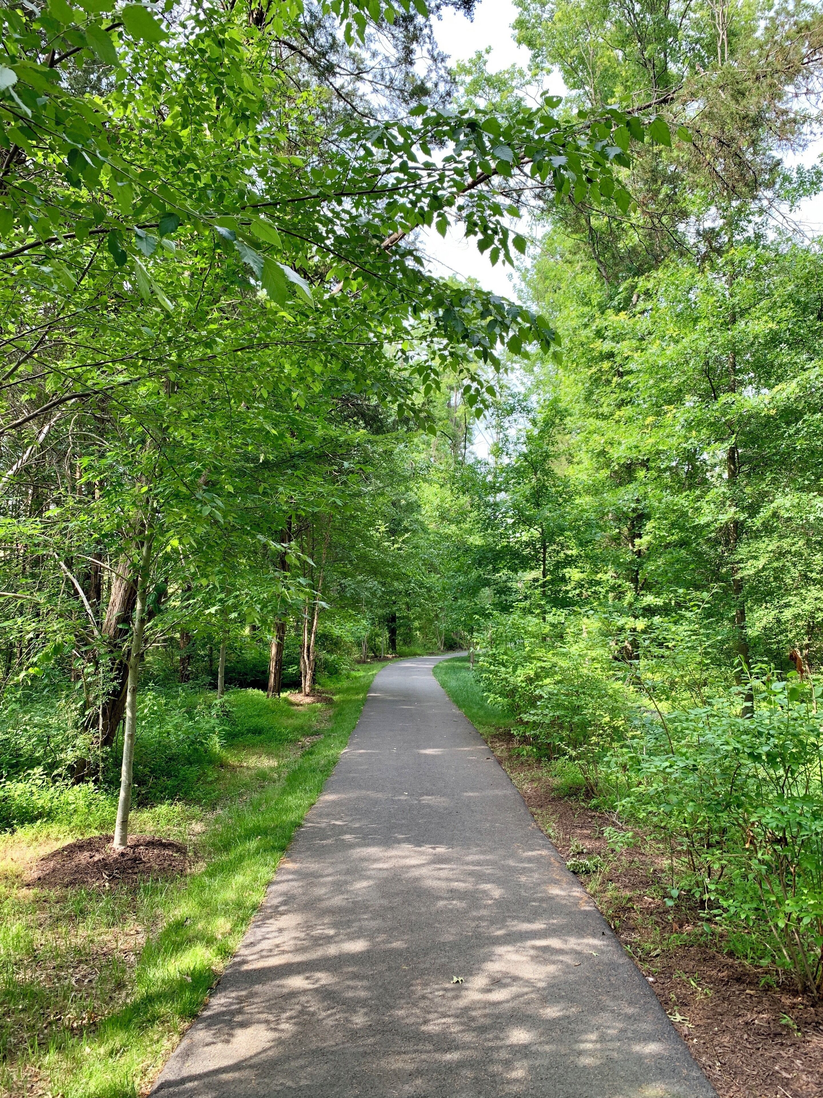 Hiking around Gainesville , Va..