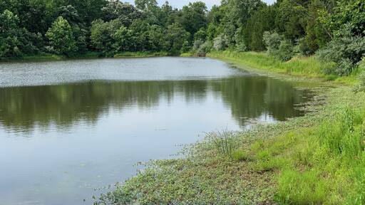 Hiking around Gainesville , Va..