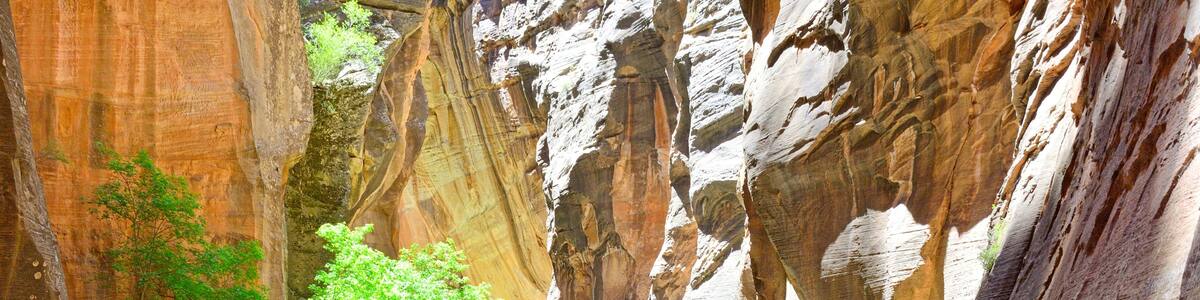 The Zion Narrows, Washington County Utah USA 6-9-2021