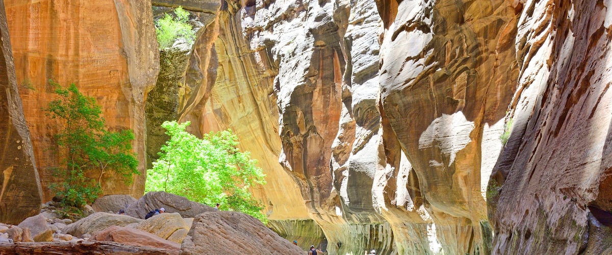 The Zion Narrows, Washington County Utah USA 6-9-2021
