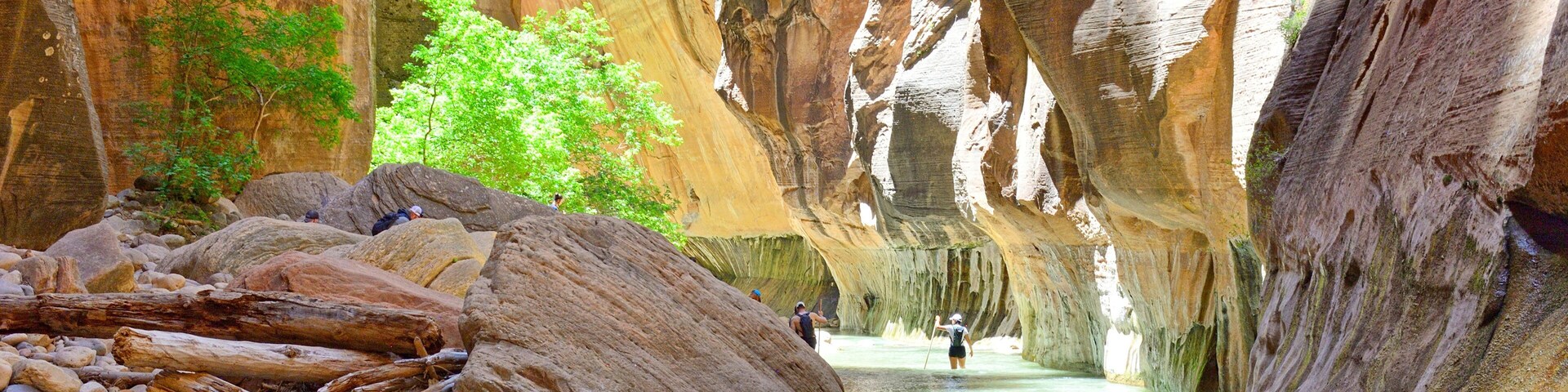 The Zion Narrows, Washington County Utah USA 6-9-2021
