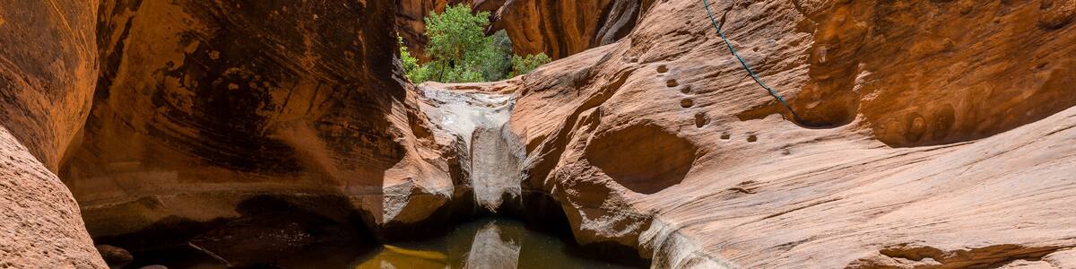 Red Reef trail in Red Cliffs Recreation Area, Utah, USA