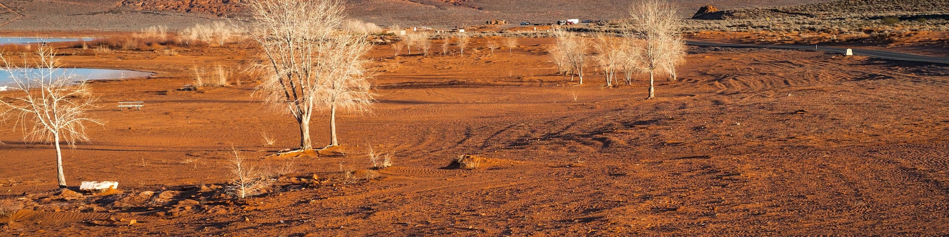 American Panorama. White bare trees on red sand in winter at Sand Hollow state park, Utah.