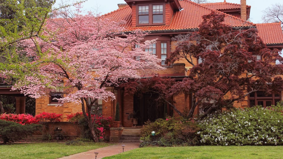 A brick house with a red-tiled roof, surrounded by blooming cherry trees and a well-maintained garden.