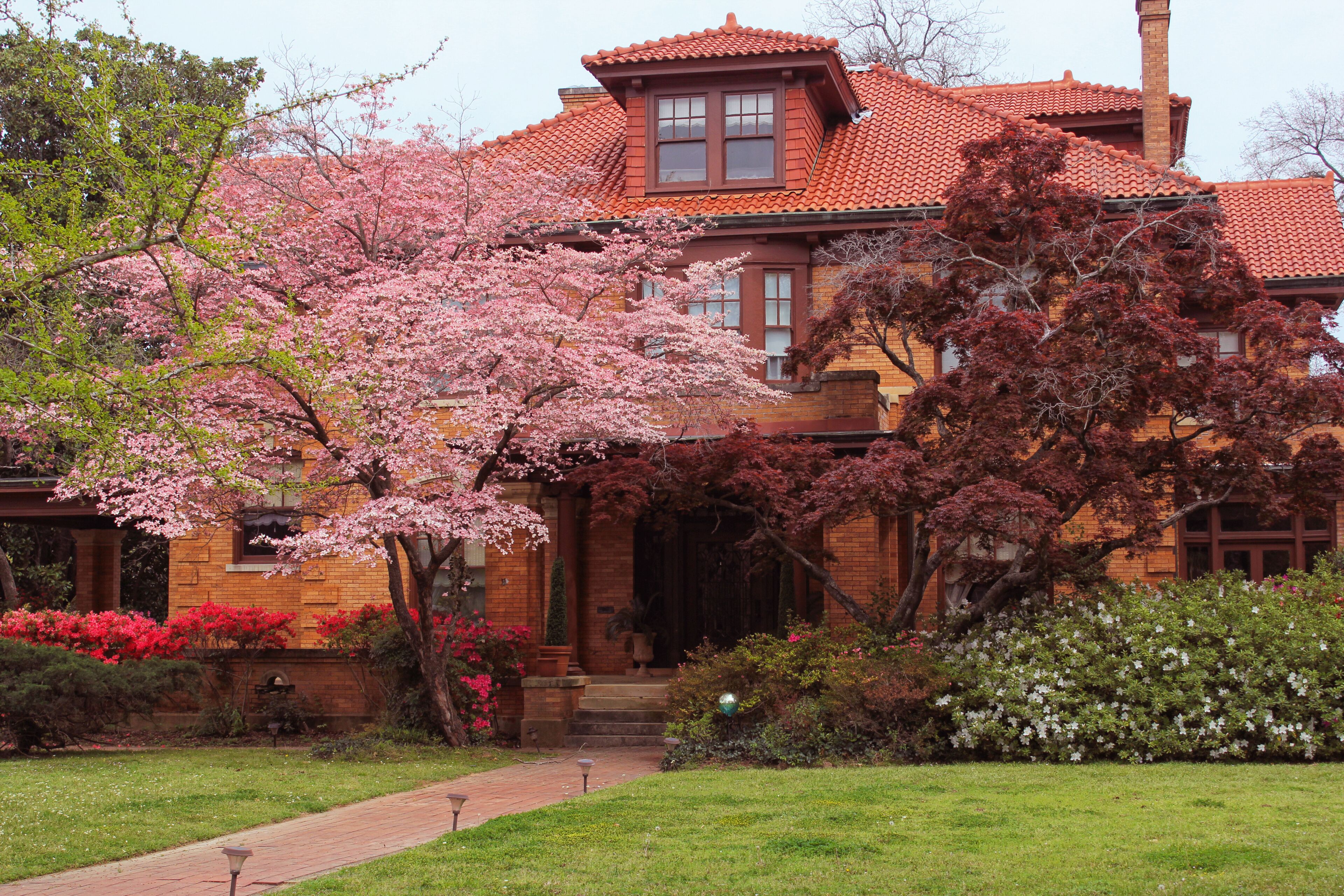 A brick house with a red-tiled roof, surrounded by blooming cherry trees and a well-maintained garden.