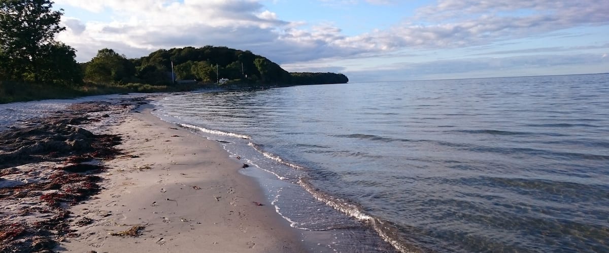 A sandy beach with gentle waves, a forested island in the distance, and a partly cloudy sky.