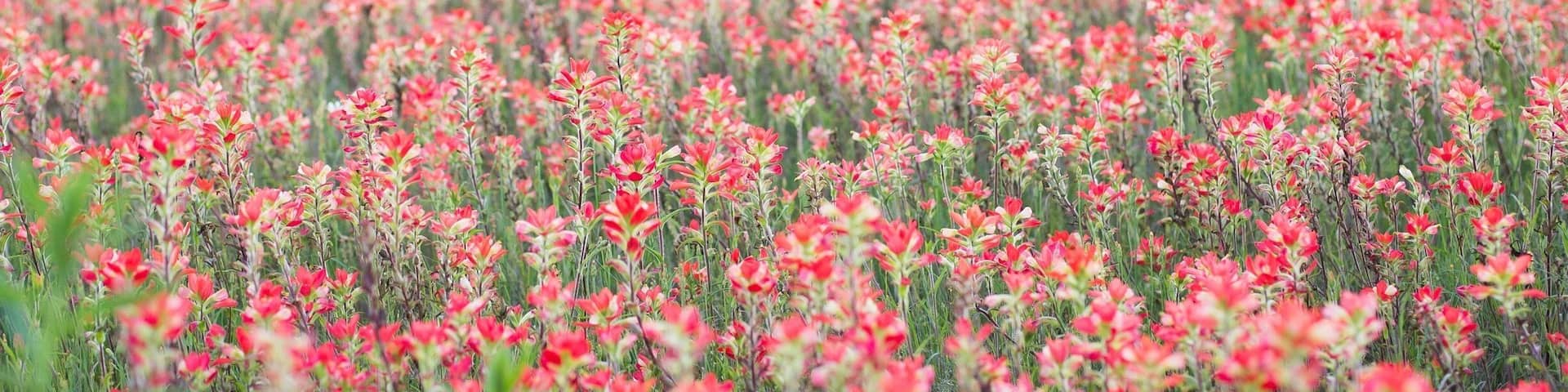 Just testing the app out