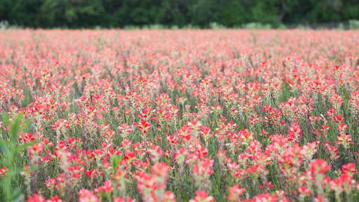 Just testing the app out