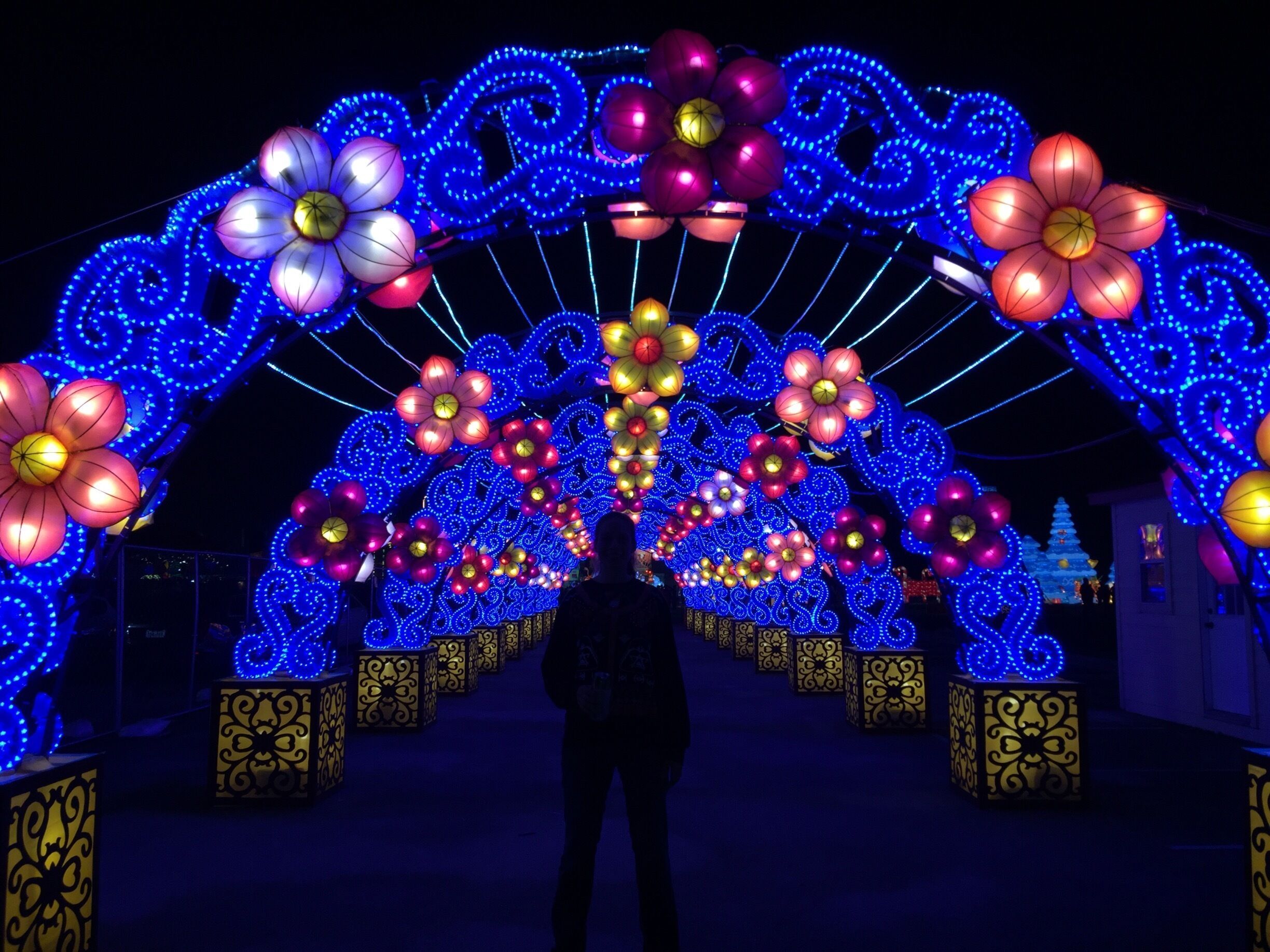 The Festival of Lights!

#StunningStructures