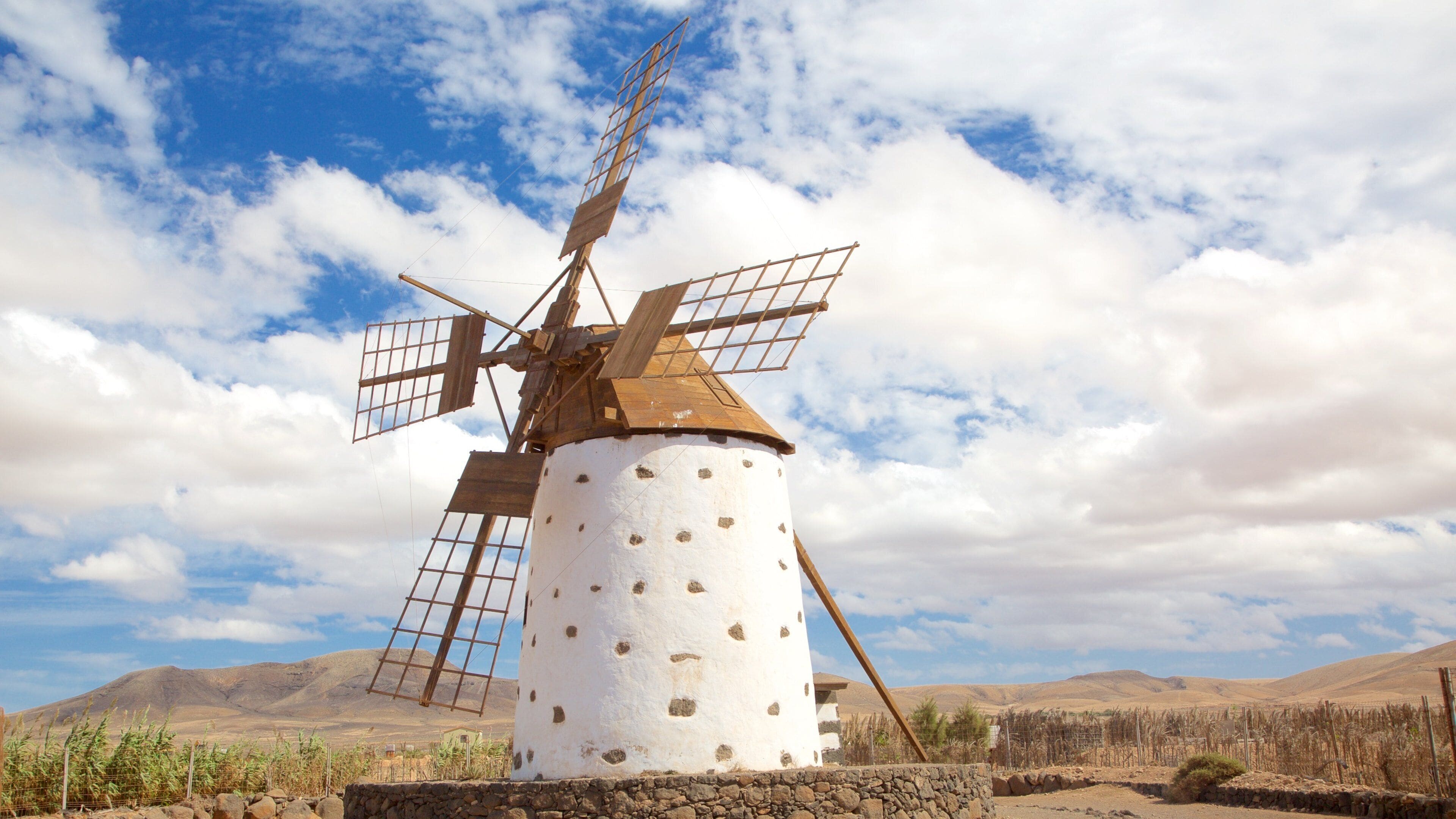 El Cotillo showing tranquil scenes and a windmill