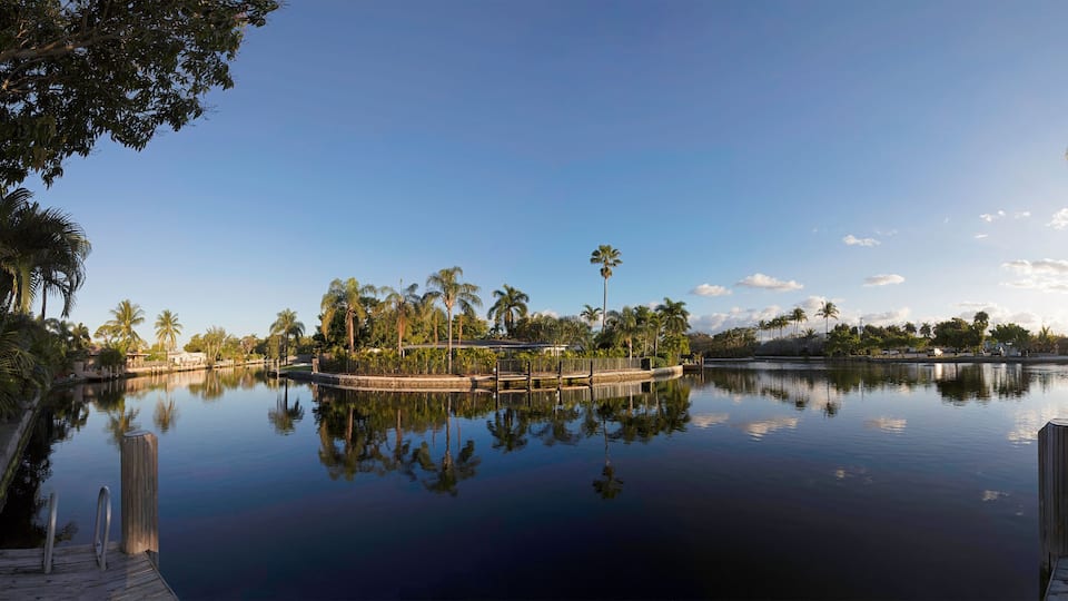 A calm lake with a wooden dock and chairs, surrounded by palm trees and a clear sky.