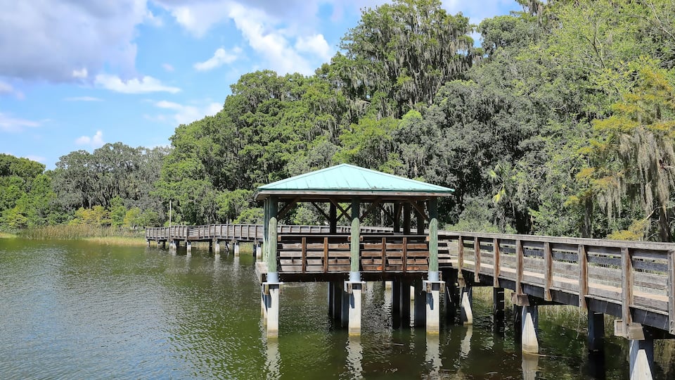 A wooden pier extending over a calm lake, surrounded by dense forest and a clear sky.