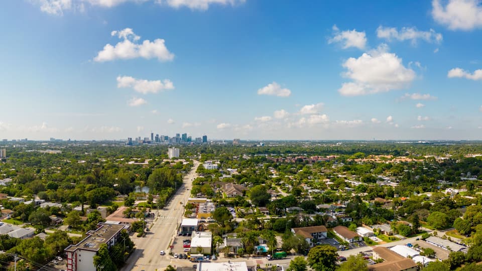 A cityscape with a clear sky, dense greenery, and a distant urban skyline.
