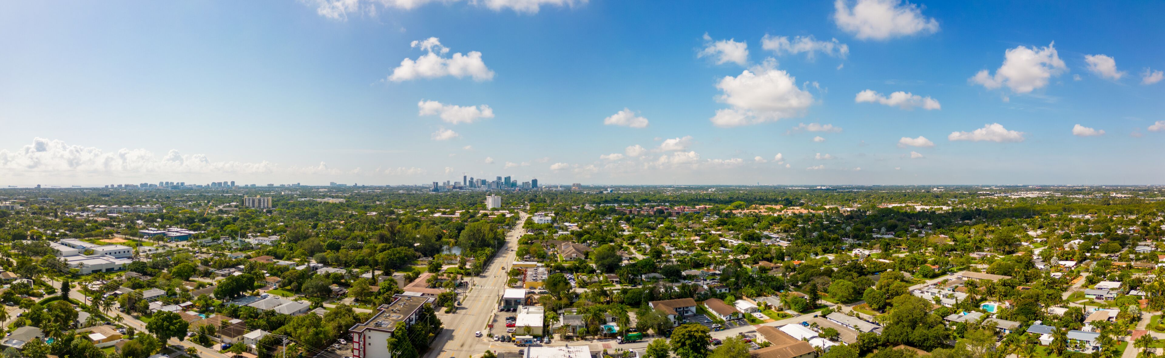 A cityscape with a clear sky, dense greenery, and a distant urban skyline.