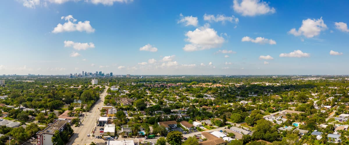 A cityscape with a clear sky, dense greenery, and a distant urban skyline.