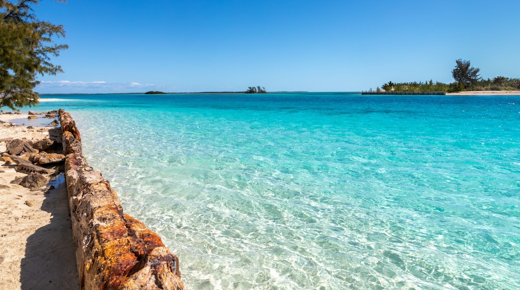 บิมินีใต้