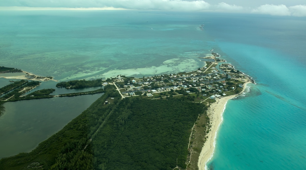 บิมินีใต้