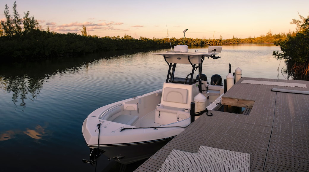 บิมินีใต้