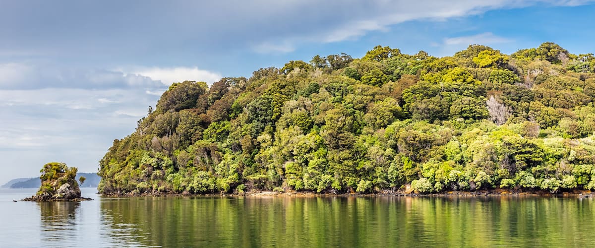 A calm lake with a forested island and a clear sky.