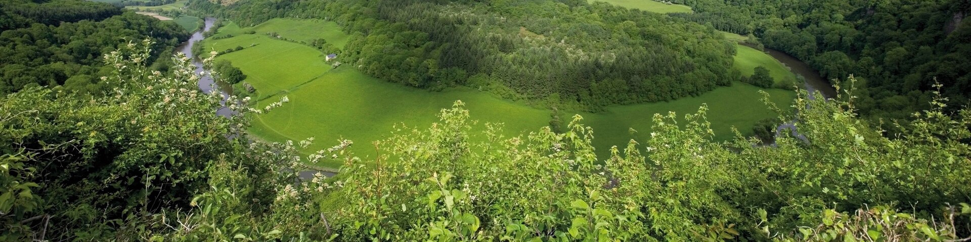 Um vale verdejante com um rio serpenteando por ele, cercado por florestas densas e colinas ondulantes.