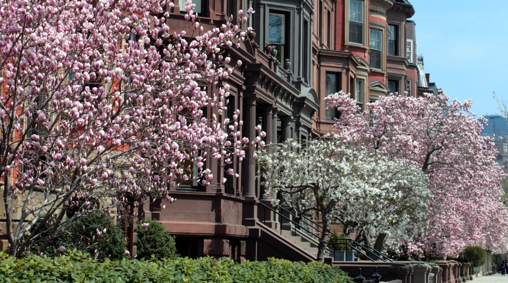 Back Bay, Boston..