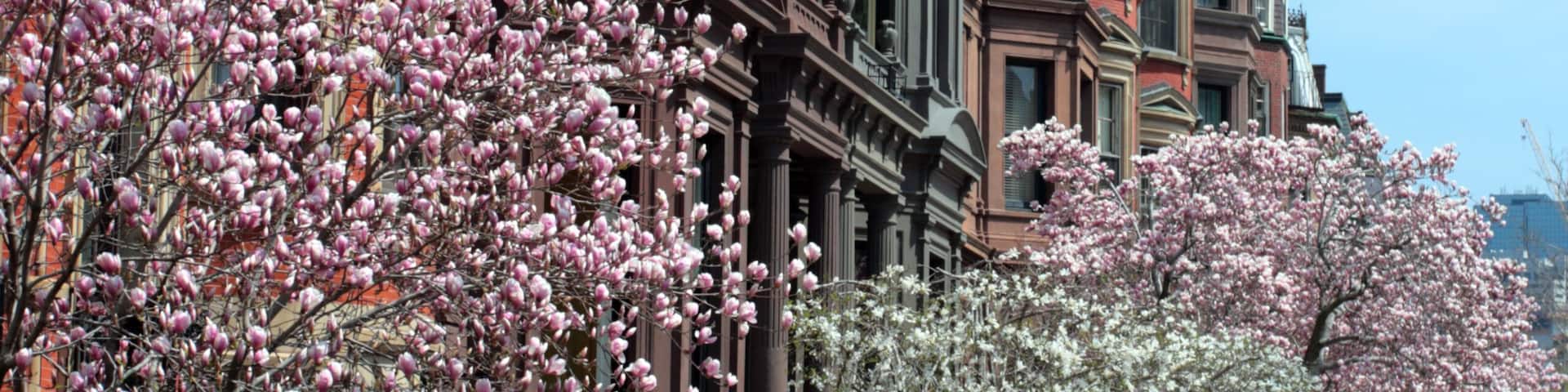 Back Bay, Boston..