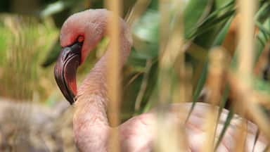 #Fuerteventura #canarie