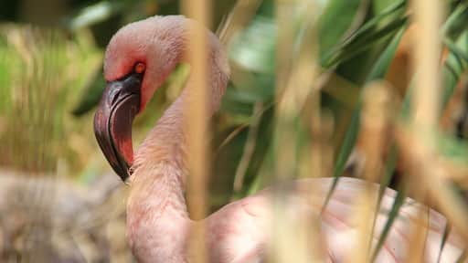 #Fuerteventura #canarie