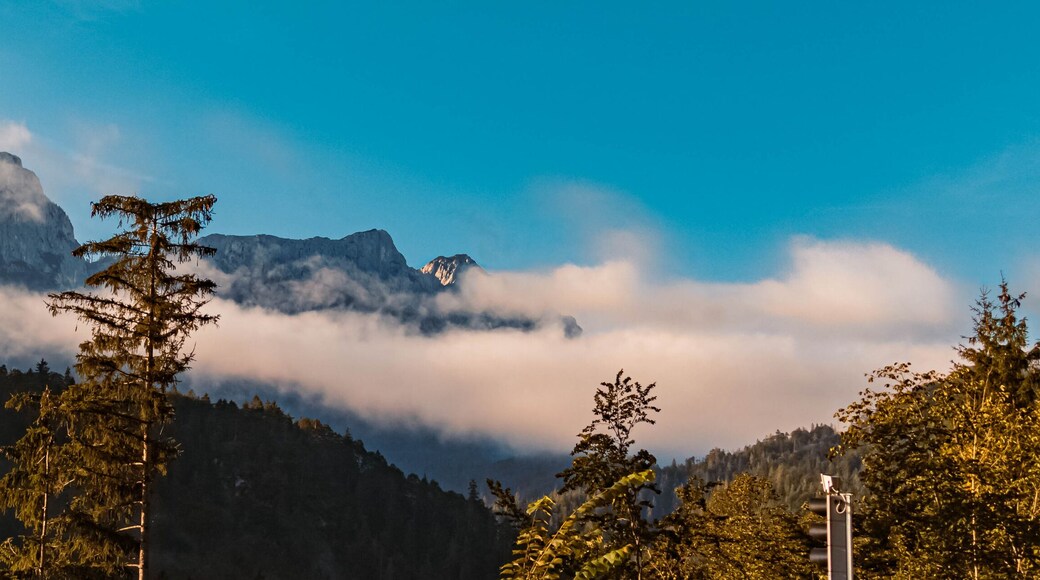Beautiful alpine foggy summer morning view near Schneizlreuth, Bavaria, Germany