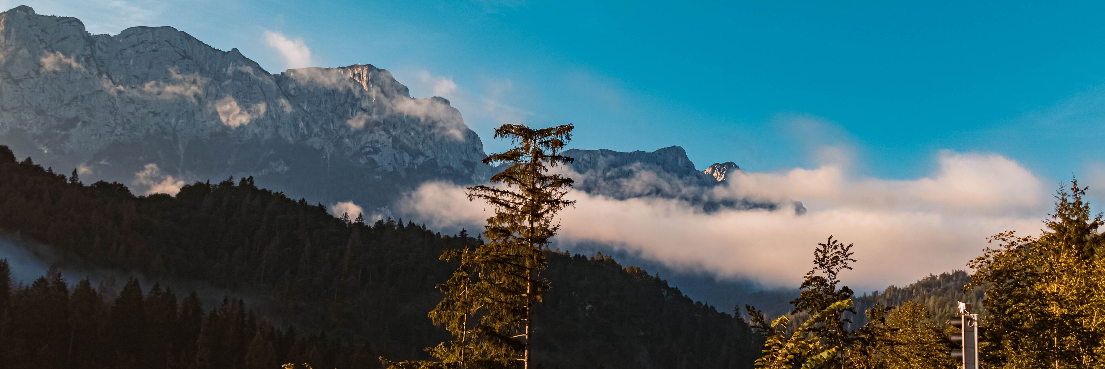 A mountain range with clouds, a tall tree, and a traffic light.