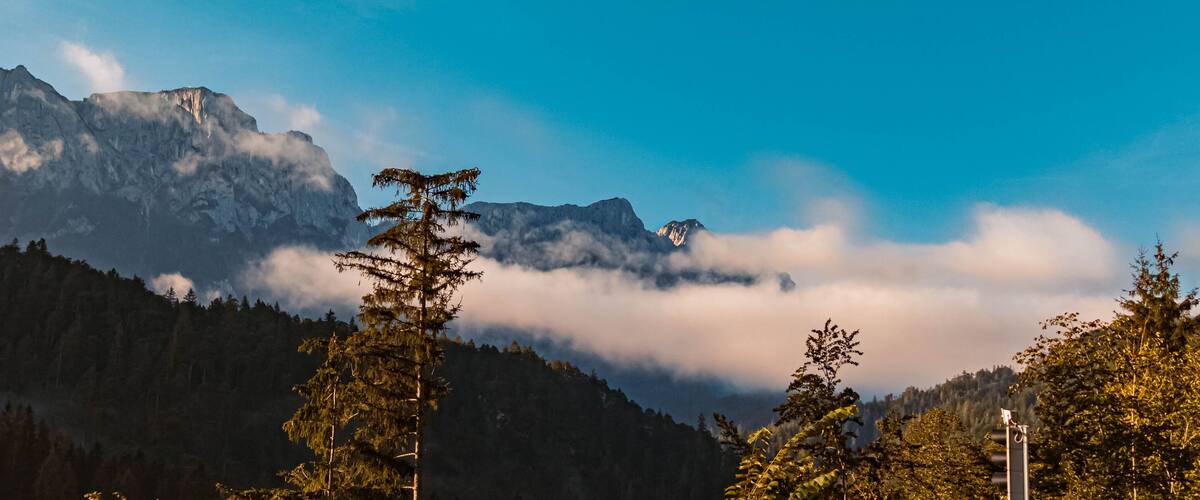 A mountain range with clouds, a tall tree, and a traffic light.