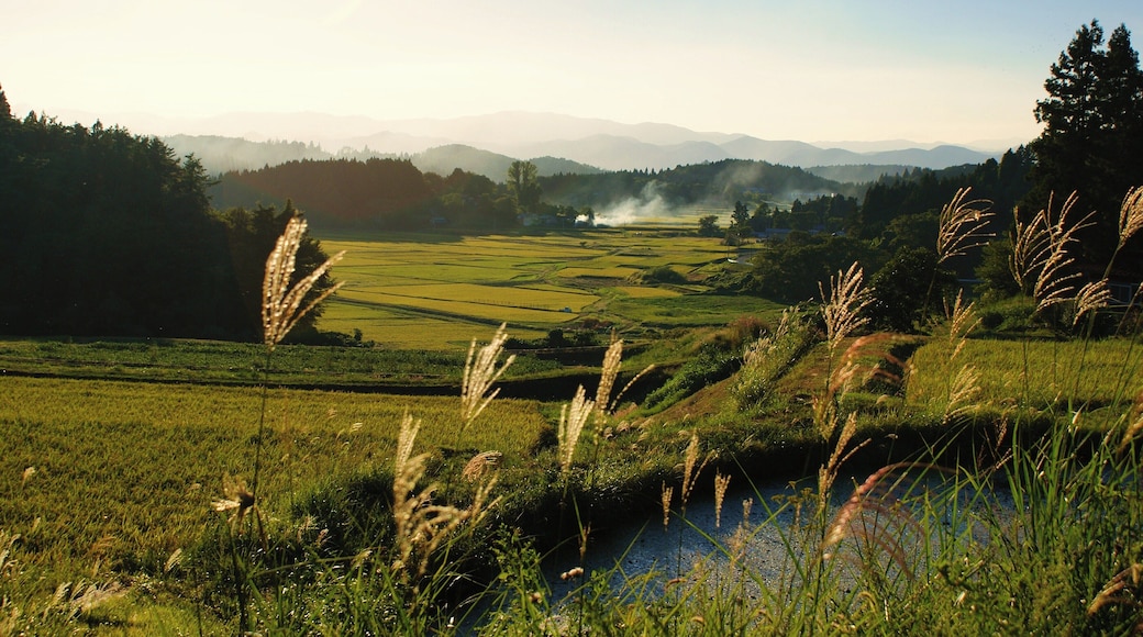 花巻・前田の棚田