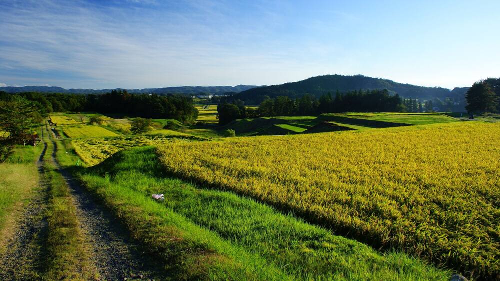 岩手県花巻市小山田の棚田