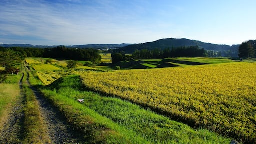 岩手県花巻市小山田の棚田