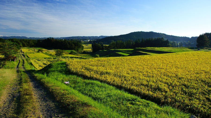 岩手県花巻市小山田の棚田