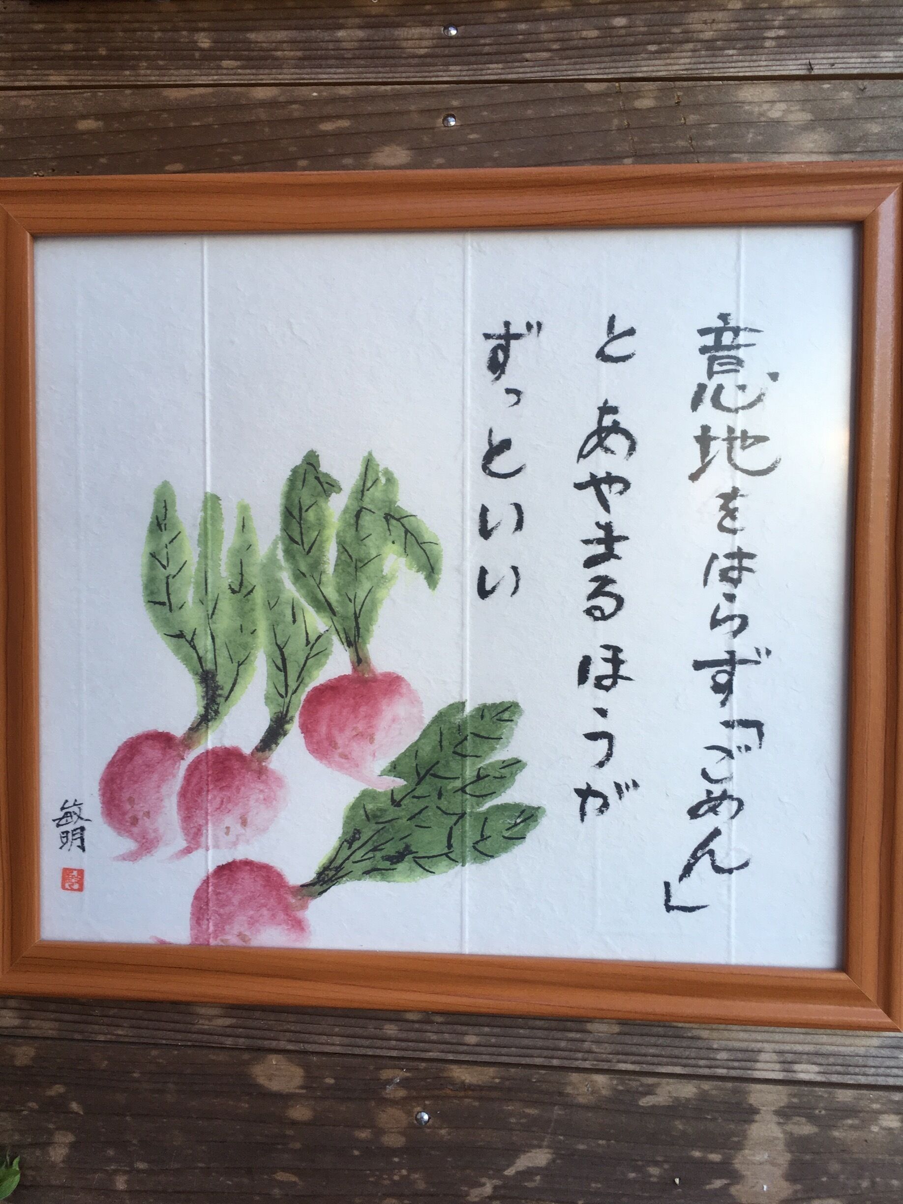 It is much better to apologize than I am sorry