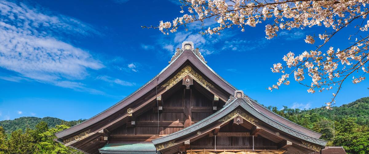A traditional wooden building with a steeply pitched roof, surrounded by a paved area and cherry blossoms.
