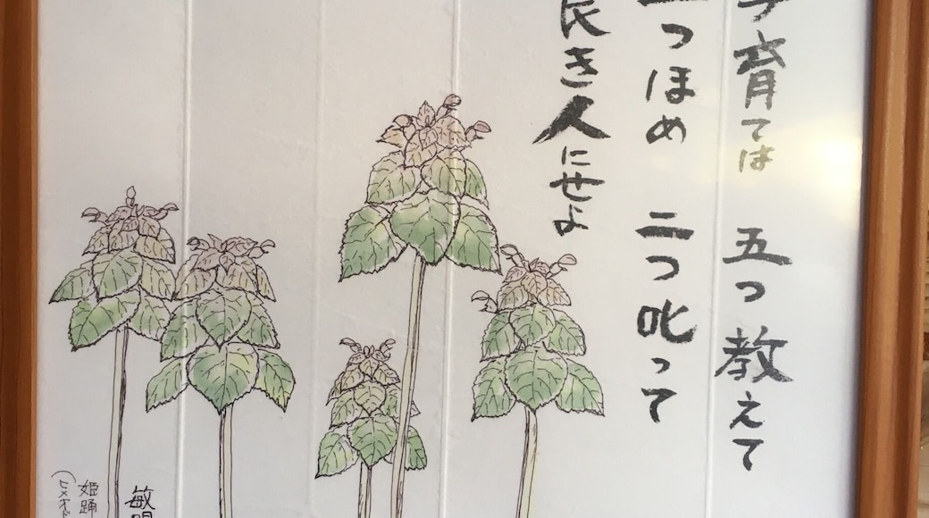 Parenting raises five things, three compliments, two scolds, let it be a good person