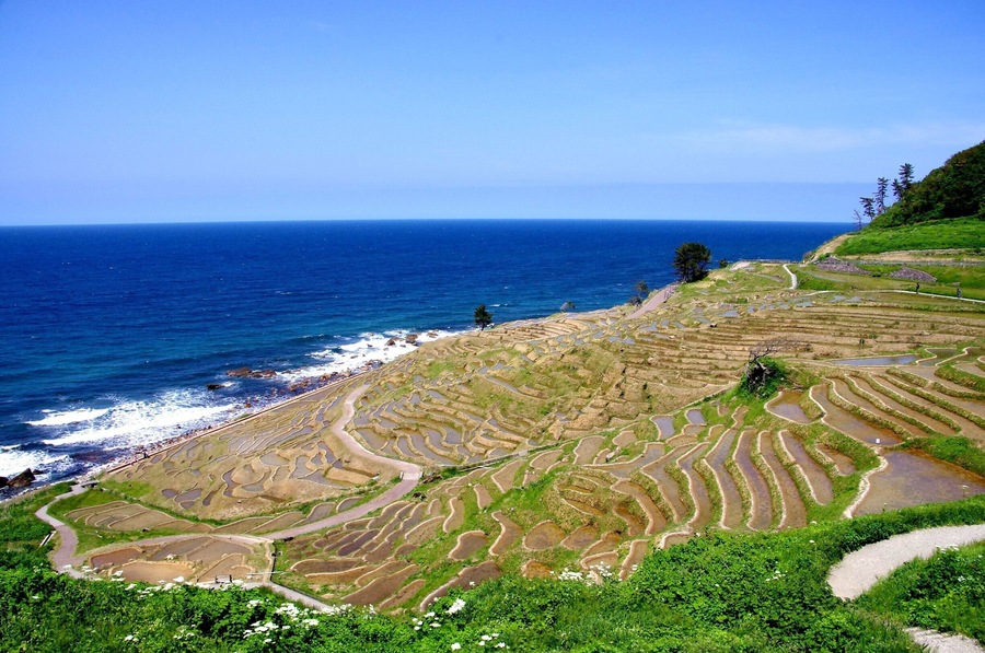 Shiroyone senmaida (白米千枚田) , Japan
This rice terrace faces the ocean.