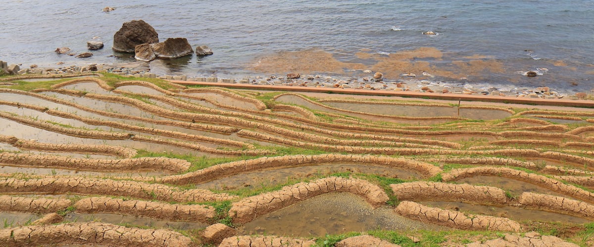 Terraced rice fields by the sea.