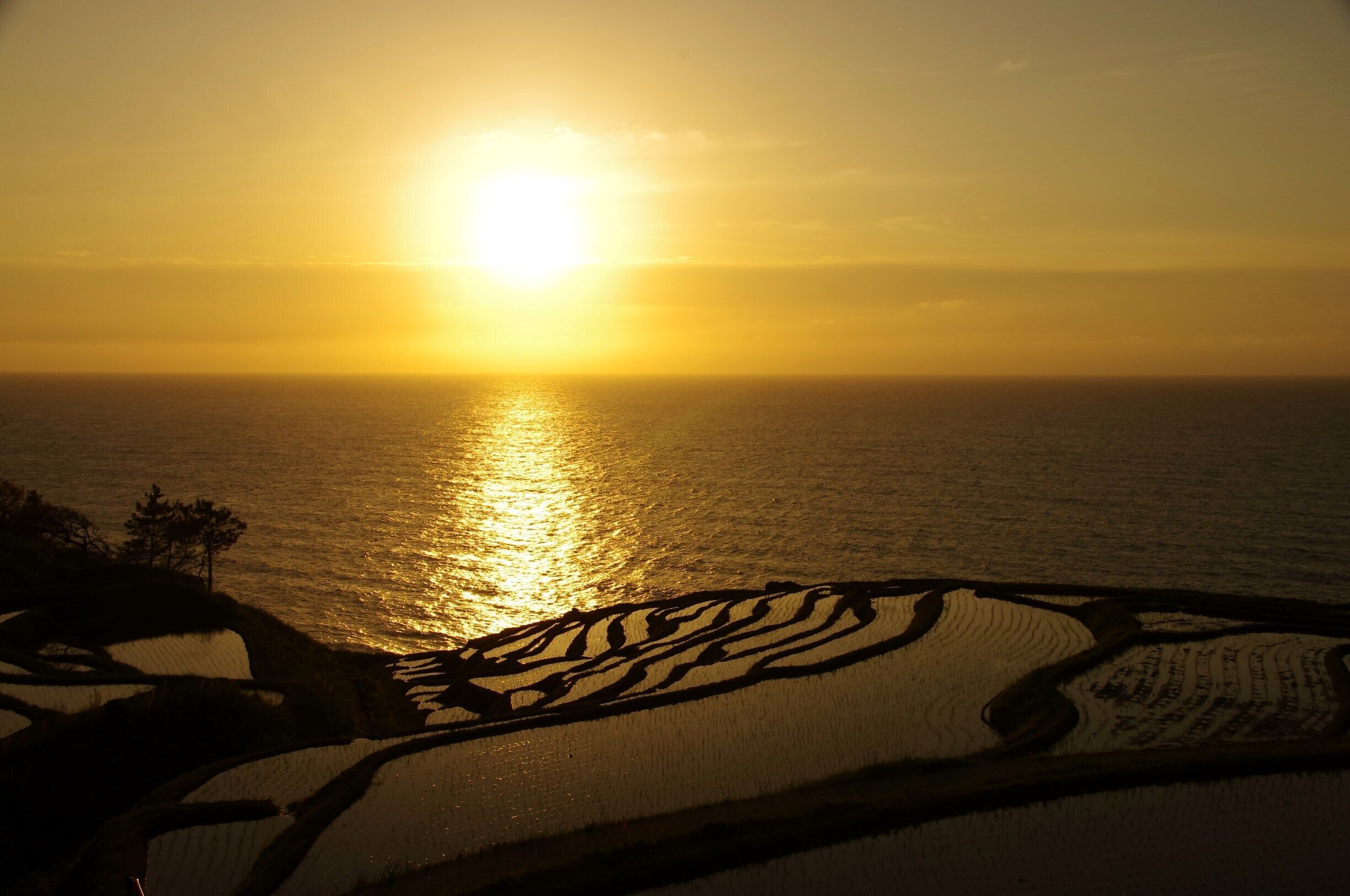 Shiroyone Senmaida (白米千枚田) , Japan
This rice terrace faces the ocean.