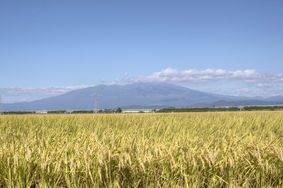 鳥海山と酒田の田畑